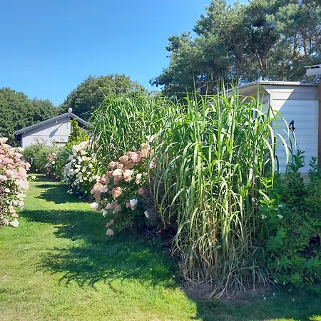 Osrodek Wypoczynkowy Ada Дом отдыха *