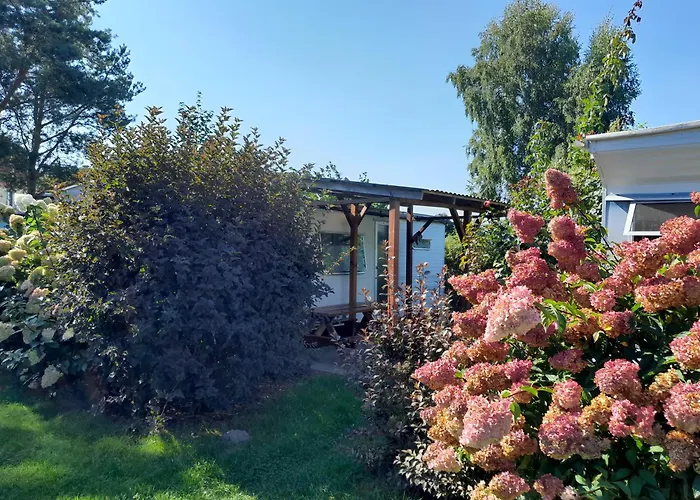 Osrodek Wypoczynkowy Ada Casa de Férias Mielno (Koszalin)